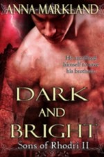 Dark and Bright by Anna Markland