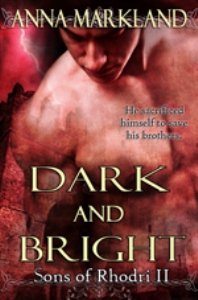 Dark and Bright by Anna Markland